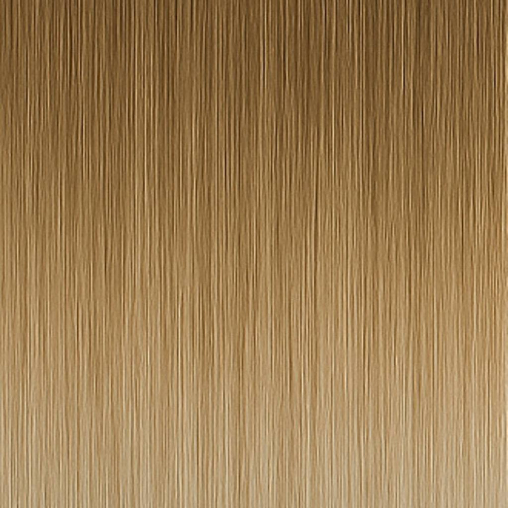 Farbprobe - 8A/12AS Asch Mix Balayage